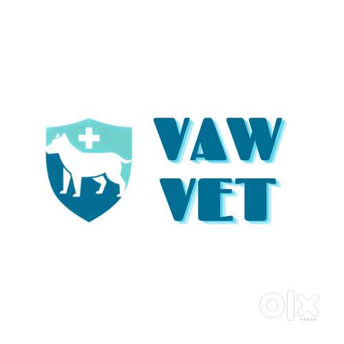 Pharmacist cum Driver