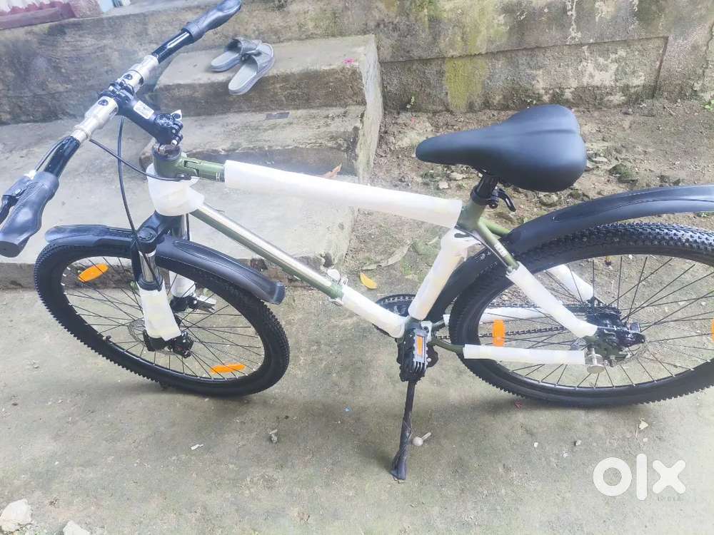 Hornback Folding Cycle