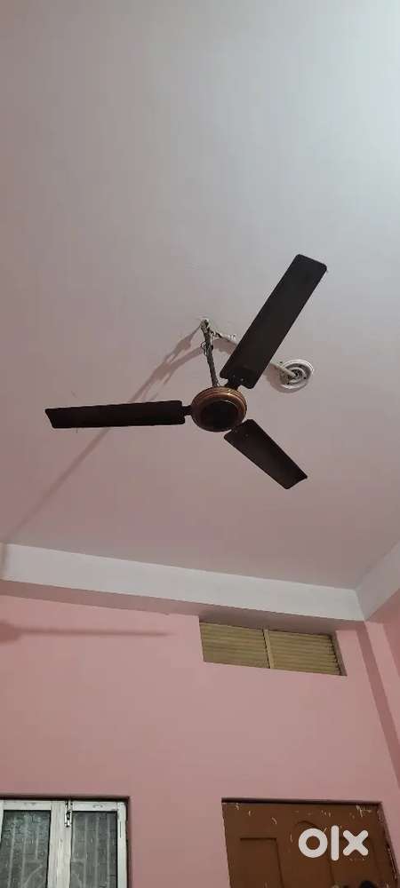 Need room rent patner olny glri