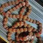 Original 5 Mukhi Rudraksha Mala from Pashupatinath - 108 Bead...