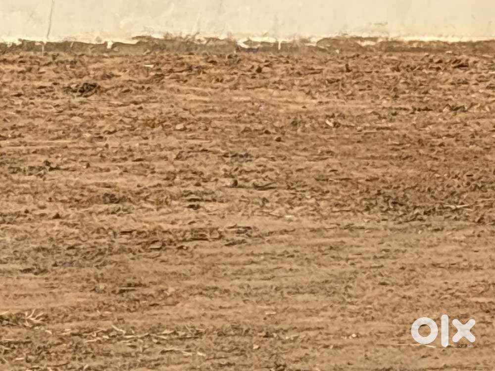 300 Sq Yard Plot ECO City 2