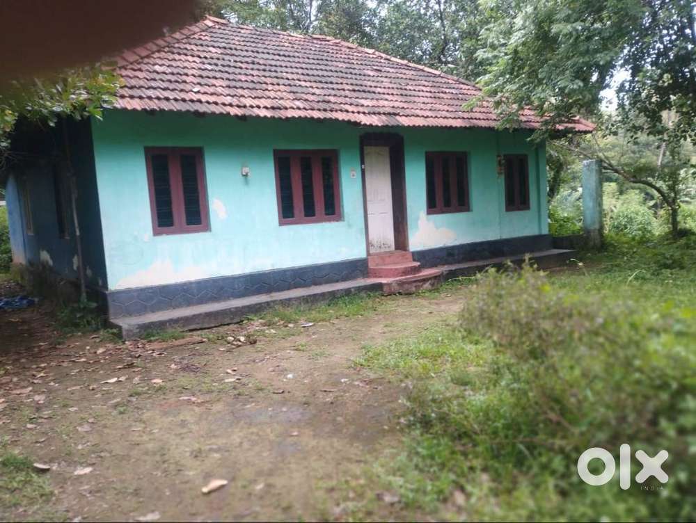 Plot and House near Athirappilly Water Falls