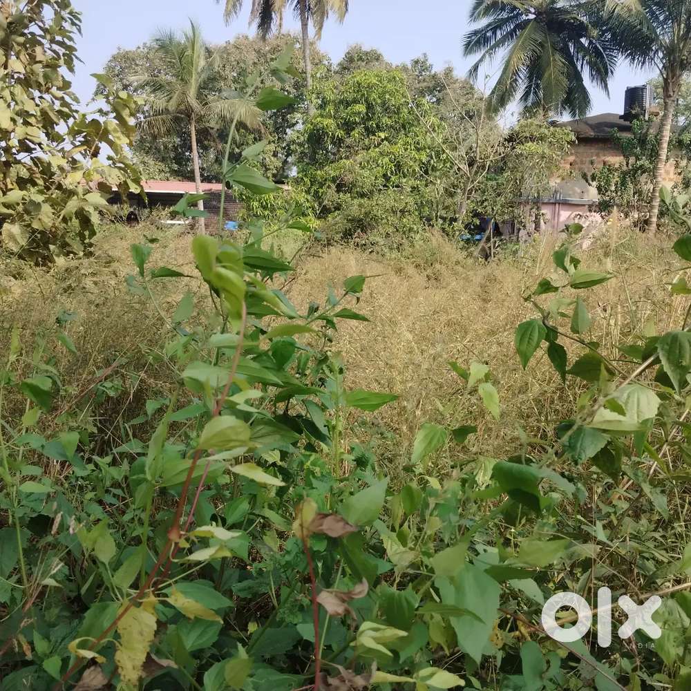 For Sale 360m2 Plot in Nuvem, Margao