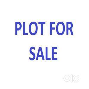 123 sq yd MDA Aproved Plot for sale in modipuram siwaya Meerut
