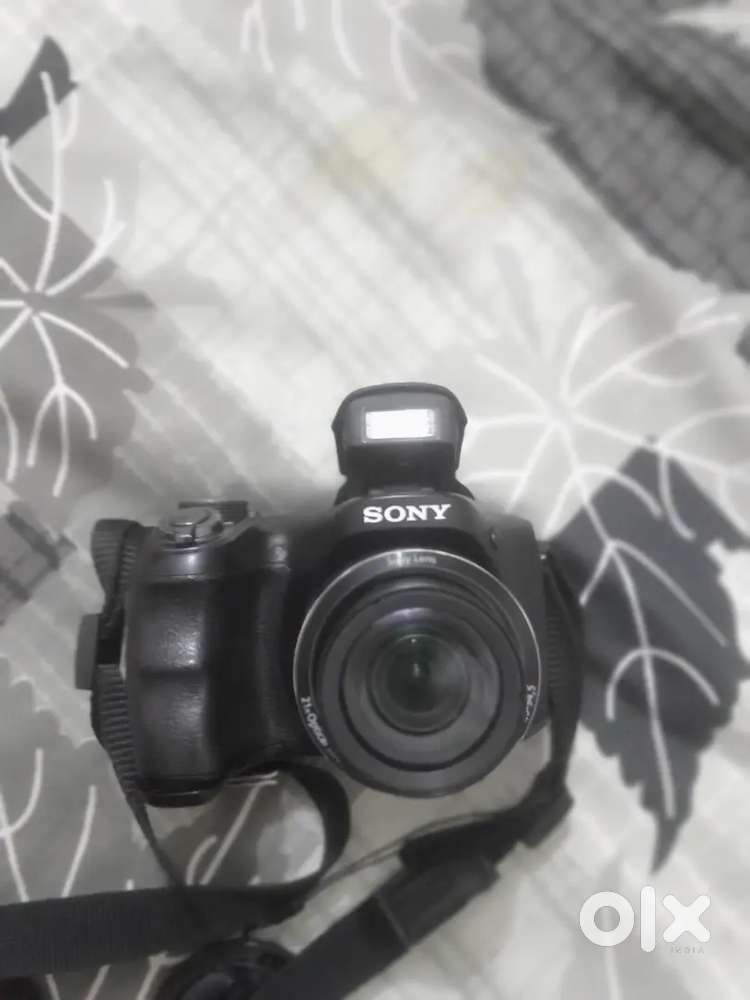 Sony DSC H-100