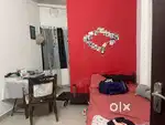 2 bhk fully furnished apartment edappally