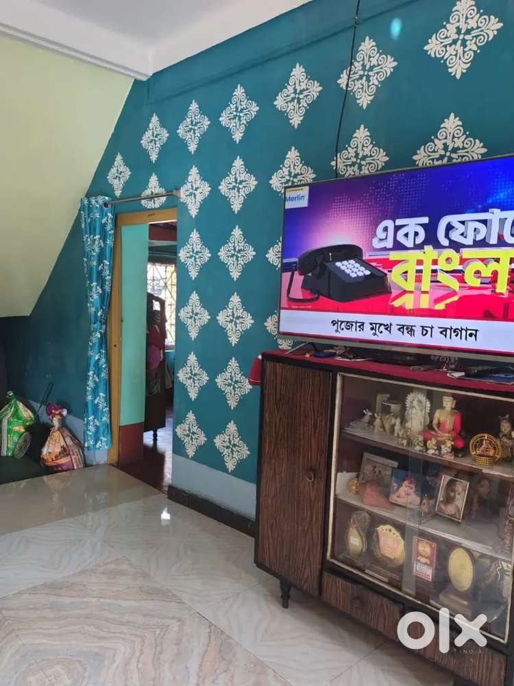 newly renovated house