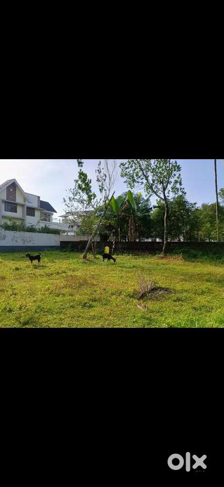 Residential property in okkal