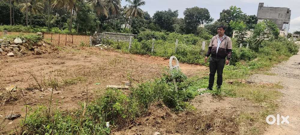 Site for sale