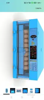 Eggs Incubator