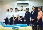 Full time jobs in IN INDIGO AIRLINES PICK an DROPPING SERVICE for
