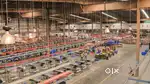 Hiring for warehouse