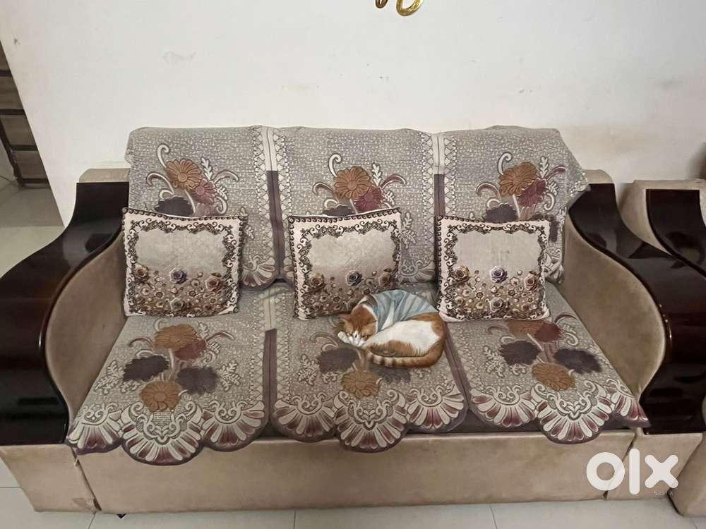 Seater Sofa Cum Bed for Urgent Sale – ₹10,000 (Relocation Sale)