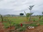 Exclusive Farm House plots sale