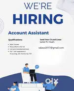 ACCOUNT ASSISTANT