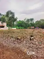 23.5 സെന്റ് ചതുരം വസ്തു കരവാരം തോട്ട ക്കയാട് UP സ്കൂൾ സമീപം
