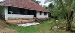 Good land  koduvayur town to tk thara around 700 m inside to the town