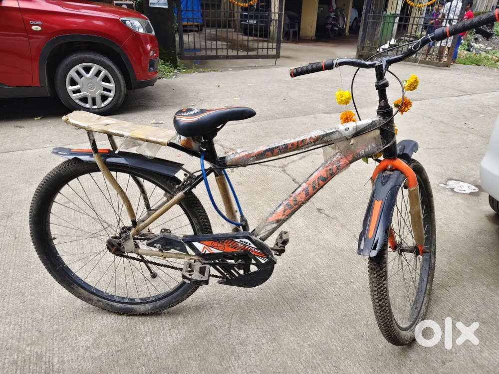 Actino Cycle Best Brands