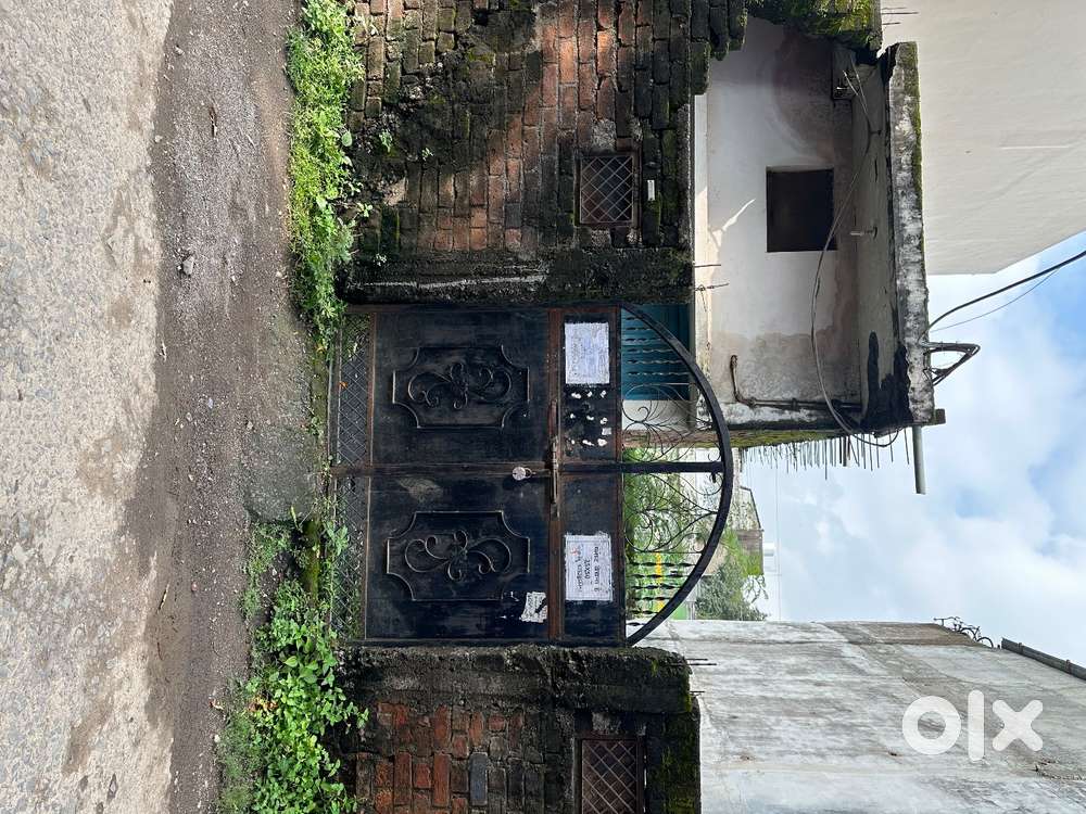 Only Genuine buyers contact