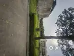 300 Sqyards Plot For Sale in Omaxe Phase 1 New Chandigarh.