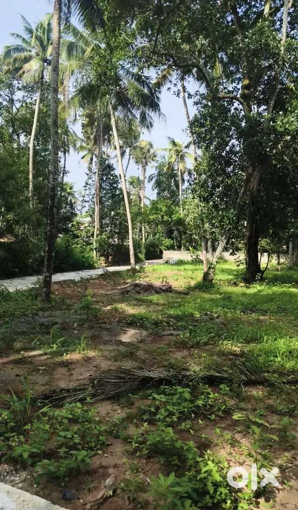 5.250,10 cent plots for sale at Murukkumpuzha junction