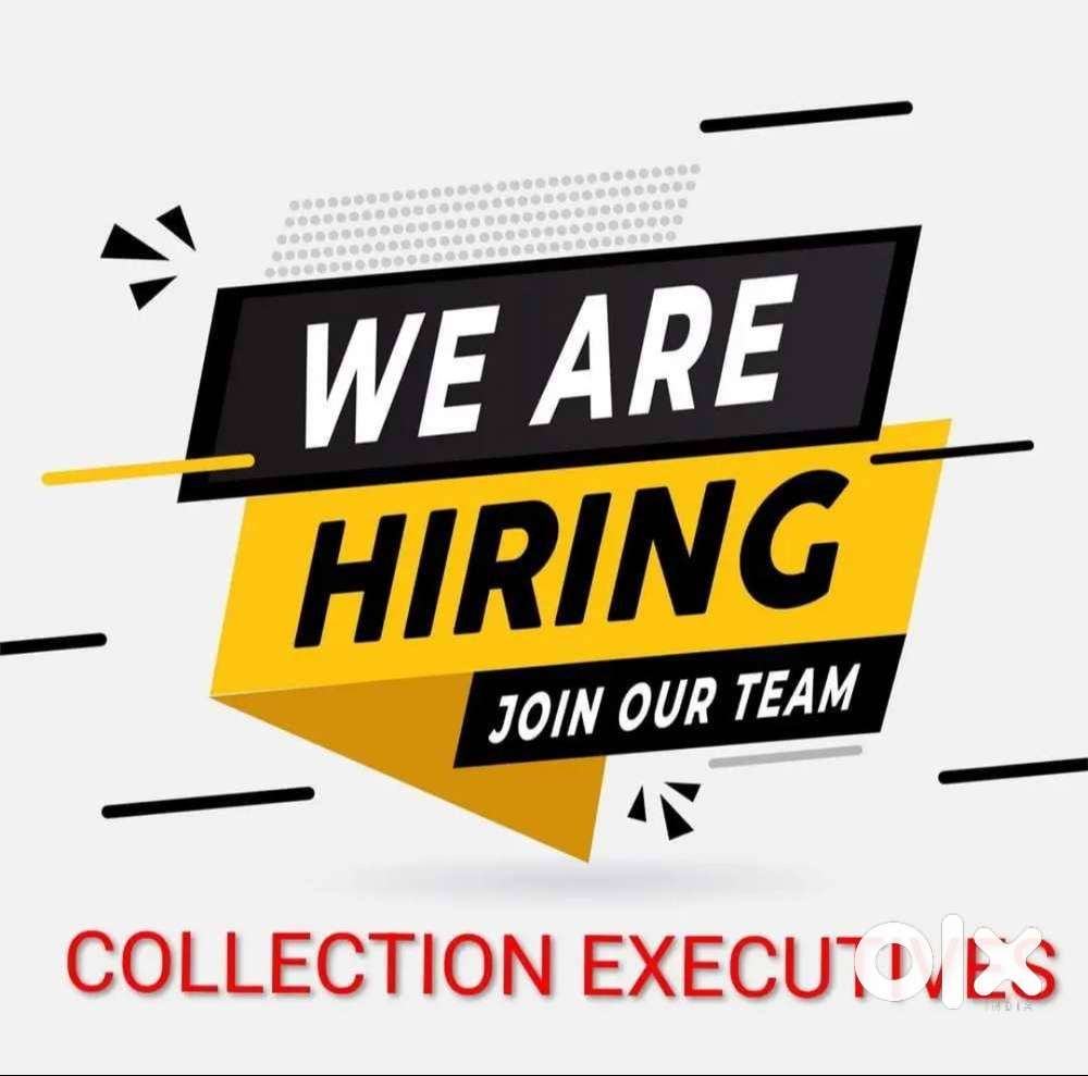 Field Collection Executive