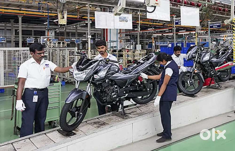 Were hiring freshers for job