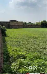 3 Bigha land for sale on Bharatpur - Mathura highway