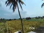 Agriculture land for sale