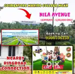 Low budget dtcp plot for sale in Othakalmandavam near marine college