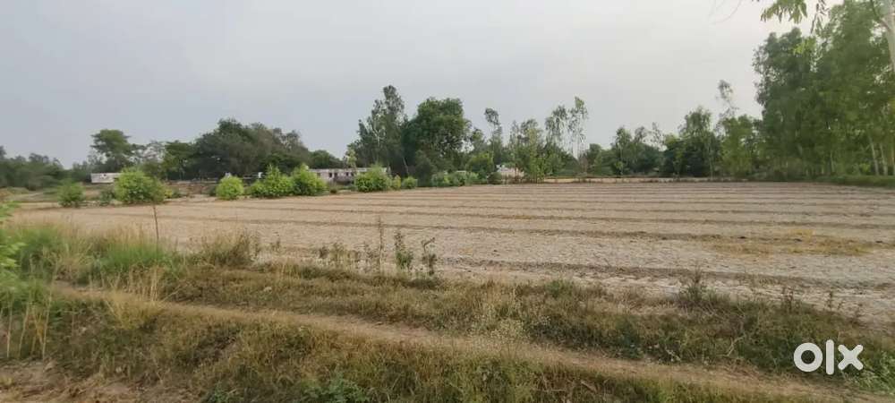 Corner Plot for Sale Tirva Village Near Harauni railway station 226401