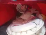 Full cricket kit equipments with bat leather kit