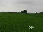 Kheti,farmhouse32k/ dismil, land for sale 4km from bhabua mohaniyAroad