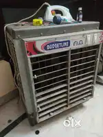 Cooler 3 month's old