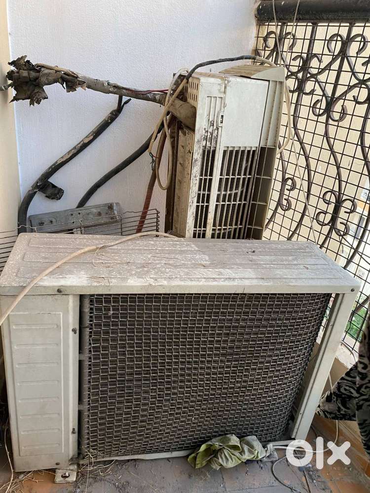3 year old AC