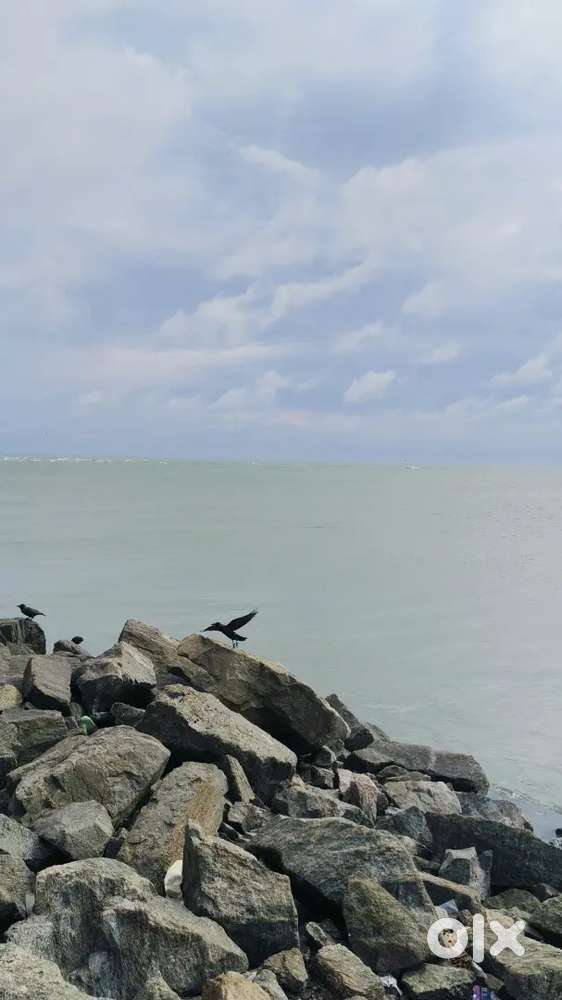 Available for home tution