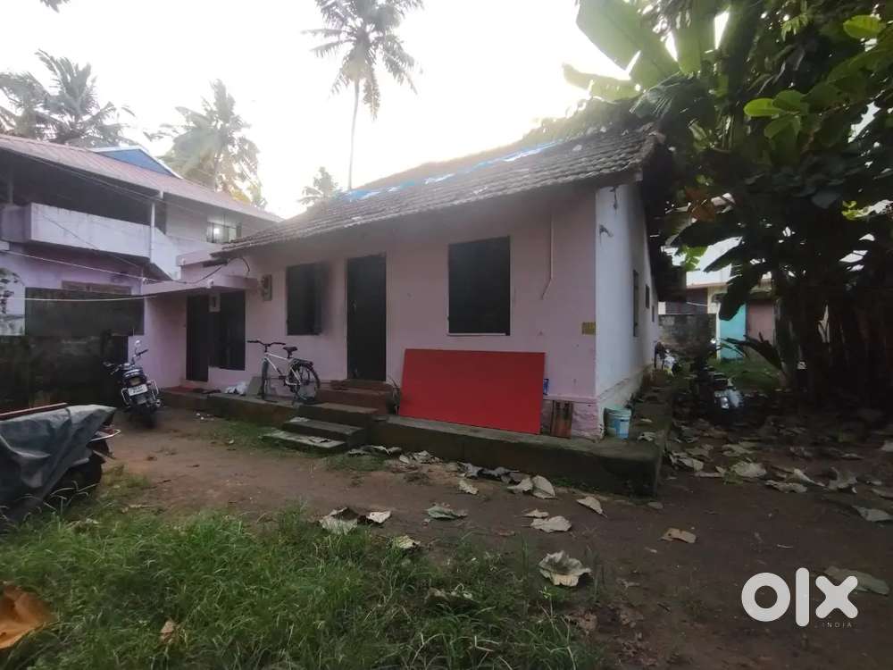 9 Cent Square Plot for sale in Pappanamcode