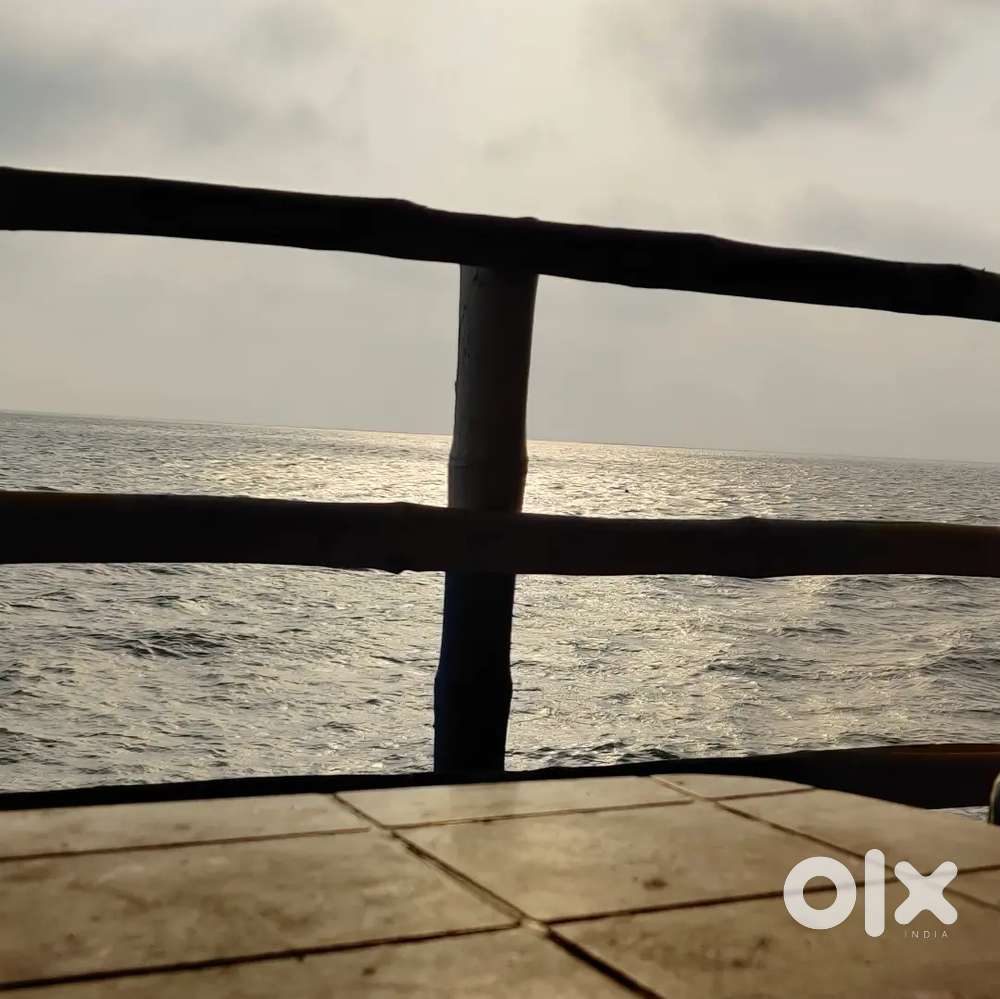 Need a room partner,Restriction free room