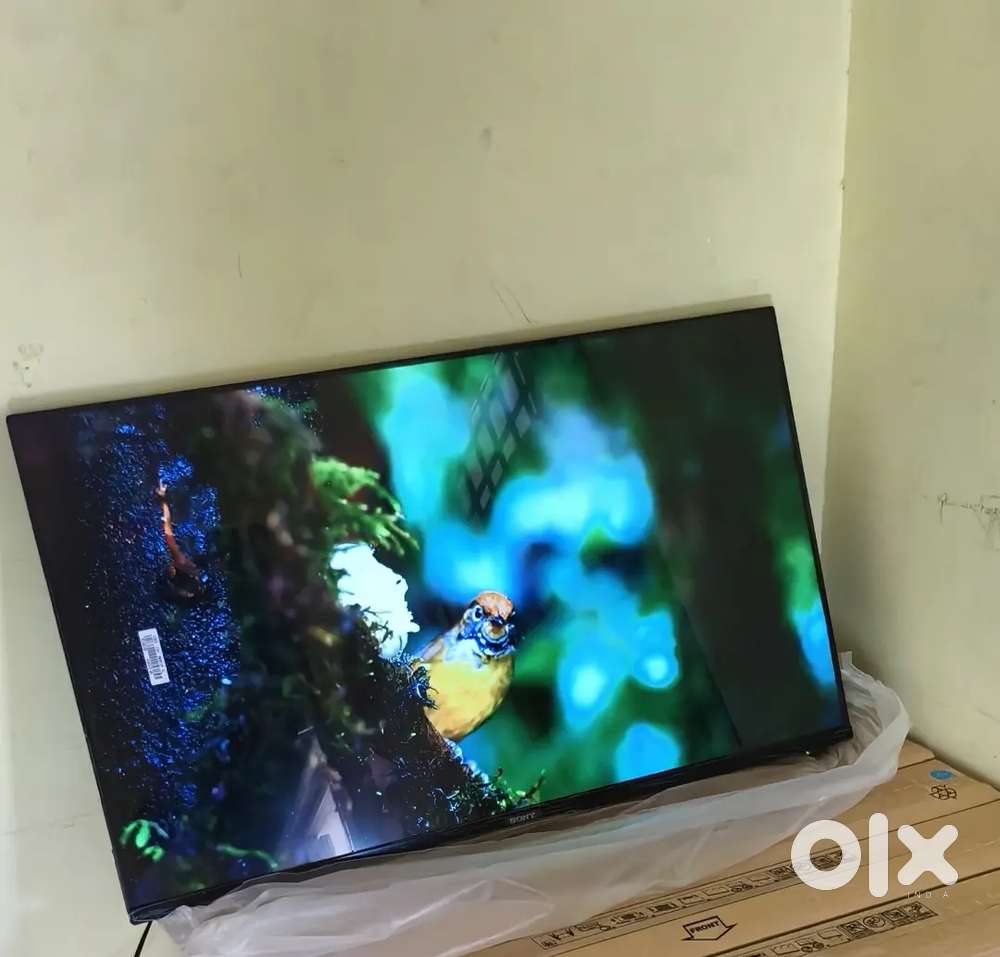 44 inch sony smart Android frameless oled 4k 3yr display waranty 15000