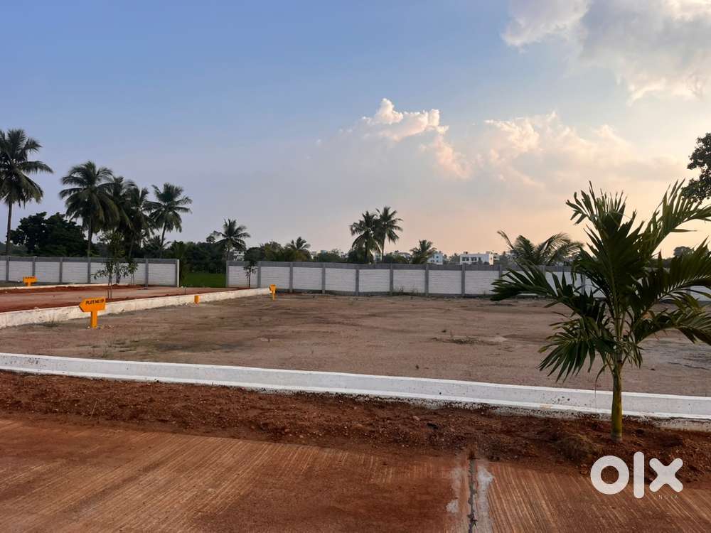 Plots with spot registration