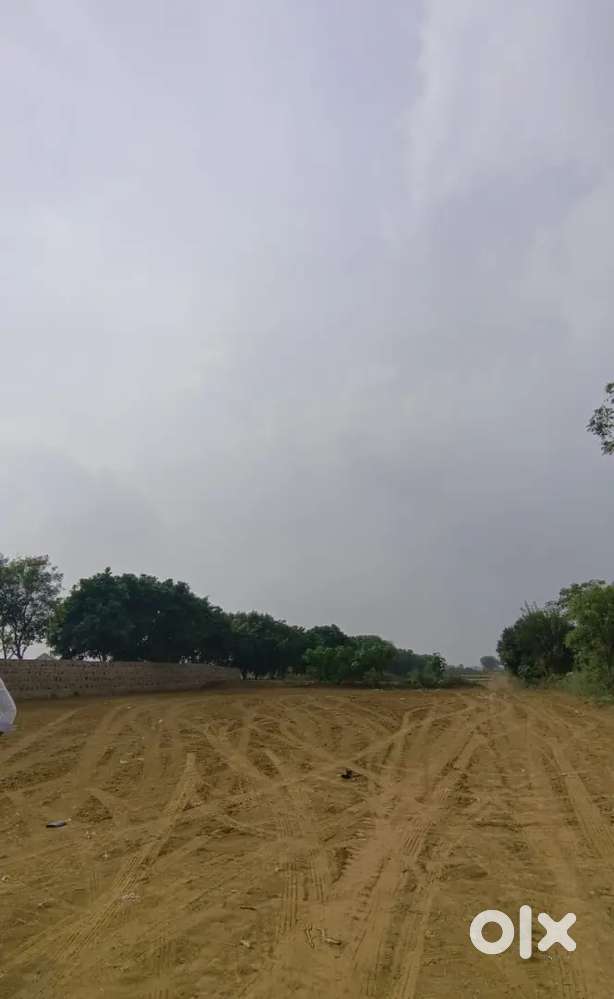 1860 Gaj ka Farm 12 hjr rupe gaj m