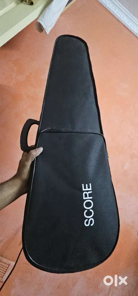 Selling my 2 months old 4/4  Violin