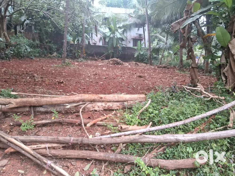 8 cent square plot near chevarambalam cwrdm road