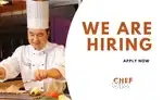 Fresher required for Chinese, Italian Food Cafe