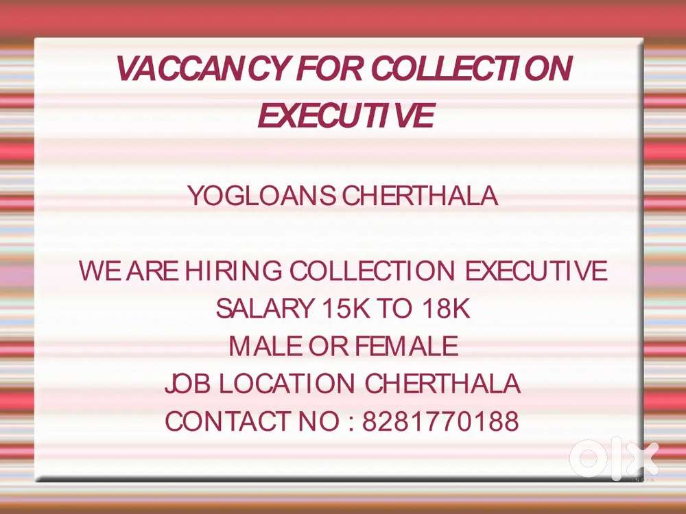 Collection executive
