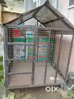 Big pet house