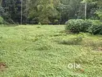 6CENT PLOT AT KOLENCHERY