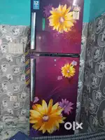 Frige bacna ha