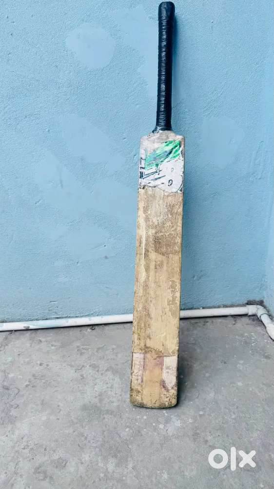 Cricket bat