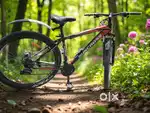 Sports Bicycle with gear system